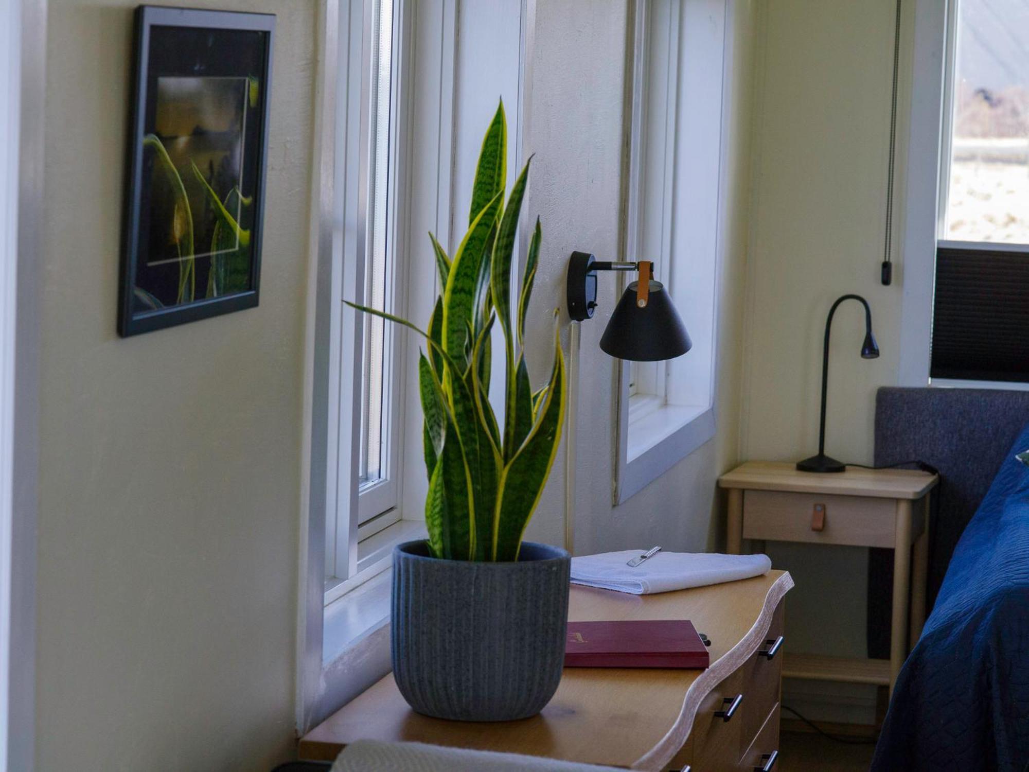 Myvo The Studio Apartment At Geiteyjarstroend 4 Reykjahlíð 외부 사진